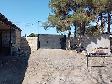 buzovnada torpaq: 4 sot, Biznes üçün, Mülkiyyətçi — 6