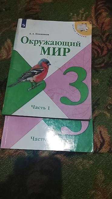 another 13: Русский язык, 3 класс, Б/у, Самовывоз — 3