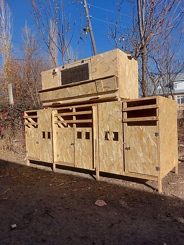 Товары и оборудование для с/х животных: Жөжөлөрго Бурдерлер Жөжө Капас Бар жөжөгө Ар кыл размер ар кыл баада at lalafo.kg — 14 Товары и оборудование для с/х животных: Жөжөлөрго Бурдерлер Жөжө Капас Бар жөжөгө Ар кыл размер ар кыл баада — 14