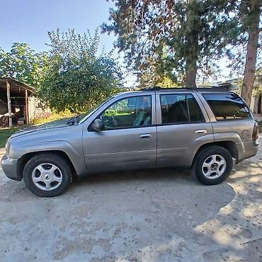 шеврале импала: Chevrolet Trailblazer: 2006 г., 4.2 л, Автомат, Газ, Внедорожник — 6