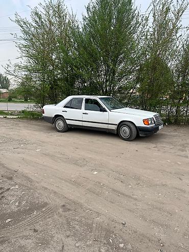 Продажа авто: Mercedes-Benz E-Class: 1989 г., 2 л, Механика, Бензин, Седан — 3