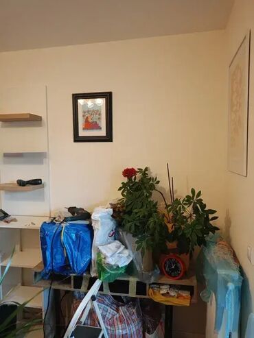 Usluge u domaćinstvu: Postavljanje i Kačenje Slika na Zid 🎨 Usluga postavljanja i kačenja — 4