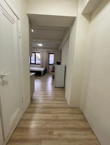 1 комнатные квартира в аренду: 1 бөлмө, 32 кв. м, Жертөлө кабаты кабат