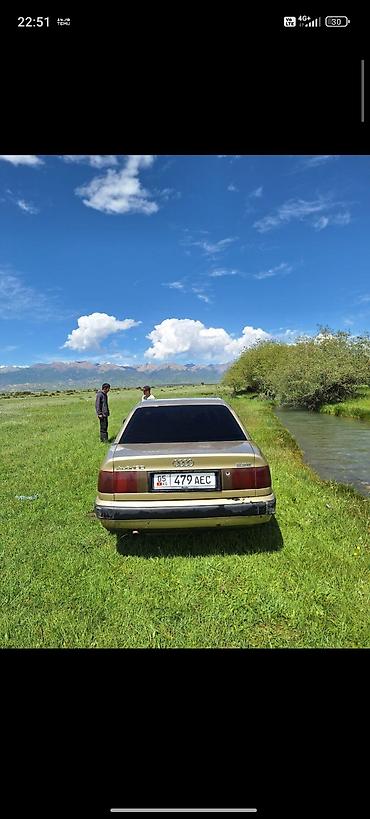 аудио техника: Audi 100: 1994 г., 2.3 л, Механика, Бензин, Седан — 3
