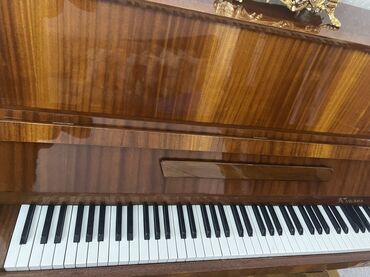 elektro gitara qiymetleri: Piano, Kuban, Akustik