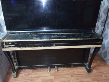 Saz: Dik piano musiqi həvəskarları və ya tələbələr üçün əla seçimdir. Otaq
