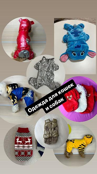 Зоотовары: Одежда для собак и кошек, большой выбор Все НОВОЕ РАЗМЕР И ЦЕНА — 1