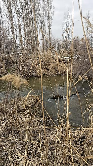 Продажа участков: 8 соток, Для бизнеса, Красная книга, Договор купли-продажи — 10