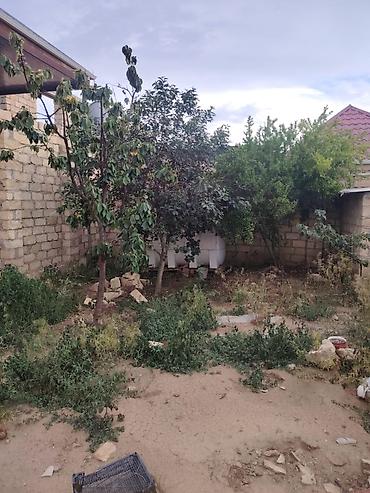 gence şeheri: 2 sot, Tikinti, Mülkiyyətçi, Müqavilə — 5