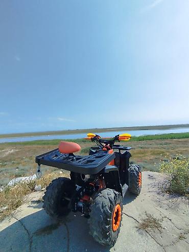 Kvadrosikllər: - UPBEAT, 3000 km — 2