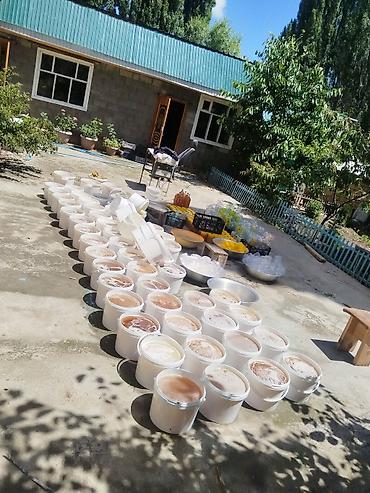 Таза бал сатылат оптом 500кг суйлошобуз at lalafo.kg — 3 Таза бал сатылат оптом 500кг суйлошобуз — 3