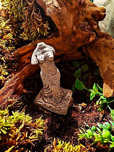 Зоотовары: 🌿 Украшения и декорации для аквариумов и террариумов 🌿 Продаю — 21