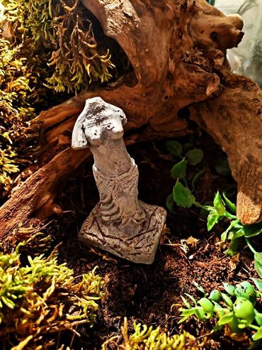 Зоотовары: 🌿 Украшения и декорации для аквариумов и террариумов 🌿 Продаю — 4