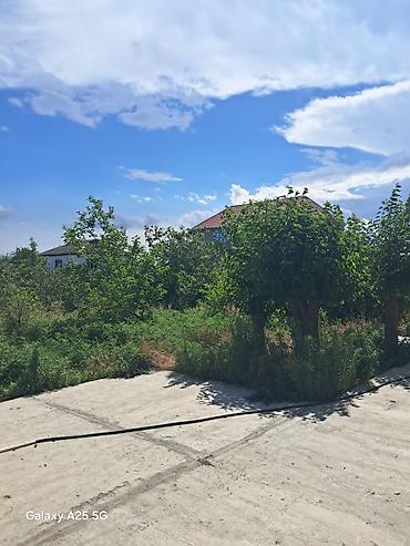 isti hovuzlu evler: 7 otaqlı, 280 kv. m, Kredit yoxdur, Təmirsiz — 7