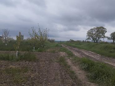 Torpaq sahələrinin satışı: 300 sot, Kupça (Çıxarış) — 16