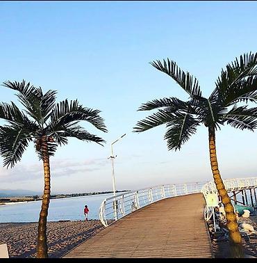 Продажа коттеджей и домов: Срочно продаю коттедж В ЦО Палм Бич ВИП сектор Две спальни и гостиная — 9