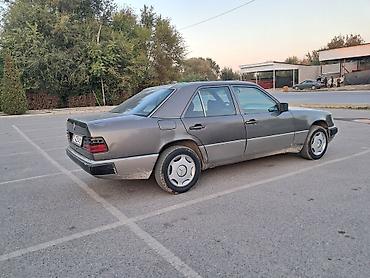 дерево на мерс 124: Mercedes-Benz W124: 1990 г., 2.3 л, Механика, Бензин, Седан — 3