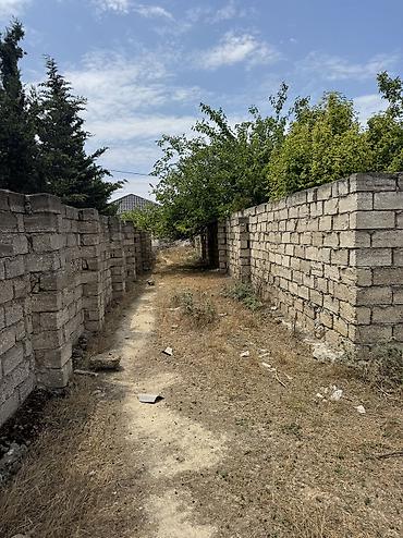 samaxida torpaq sahesi satilir: 4 sot, Tikinti, Mülkiyyətçi, Kupça (Çıxarış) — 7