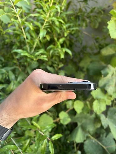 Apple iPhone: IPhone 13 Pro Max, 256 GB, Graphite, Face ID — 6