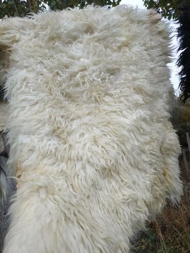 Ковры и паласы: Ковер Новый, Мех, Безналичная/наличная оплата at lalafo.kg — 7 Ковры и паласы: Ковер Новый, Мех, Безналичная/наличная оплата — 7