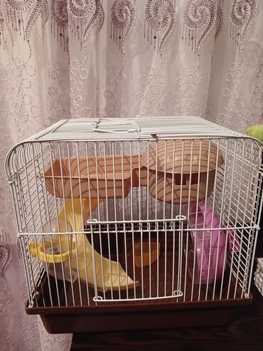 Qəfəslər: Xomyak üçün qəfəs və aksesuarlar dəsti qiymətdə endirim oluna bilər -