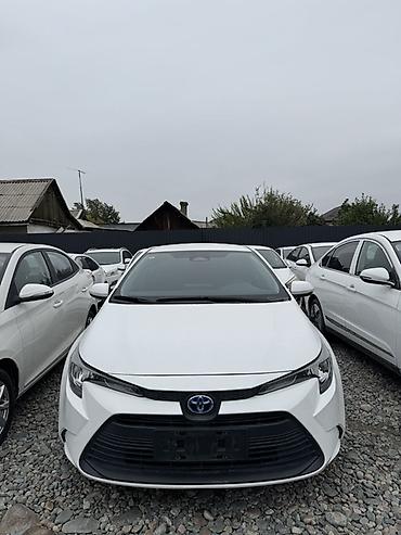 Toyota Levin: 2023 г., Гибрид, Седан