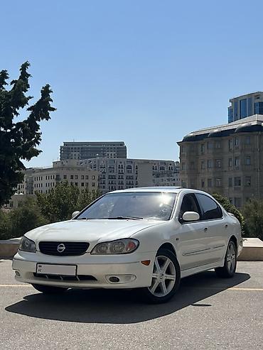 Nissan: Nissan Maxima QX sedan – ağ rəng, 4 qapı, qabaqdan ötürücülü. Əsas — 1