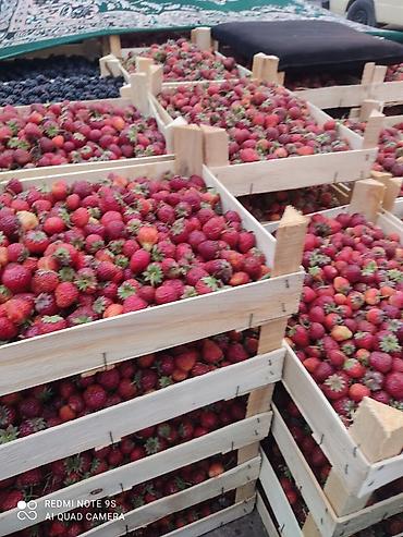 Малина: Малина Платная доставка — 17