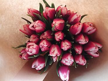 Букеты из живых цветов: Тюльпаны срезанные, сортовые, упакованные партиями. - Палитра — 6