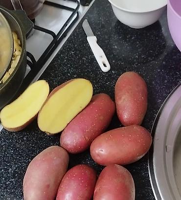 Картошка: Картошка Оптом — 4