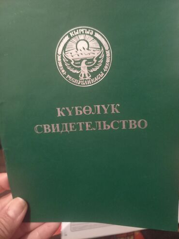 Жер тилкелерин сатуу: 60 соток, Айыл чарба үчүн, Сатып алуу-сатуу келишими