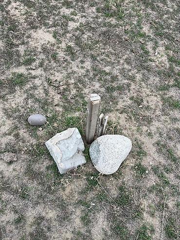 Продажа участков: 4 соток, Для строительства, Красная книга — 12