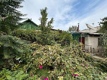 Продажа коттеджей и домов: Продаю дом Пишпек п. Виноградный / Репина Участок 4,93 сотки 4 — 14