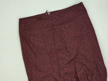 kurtka zimowa elisabetta franchi: H&M, Spódnica damska, 2XL