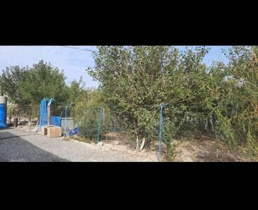 Kommersiya daşınmaz əmlakının satışı: Xızı rayonunda yerləşən bu fermer təsərrüfatı heyvandarlıq üçün geniş — 7