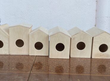 Yuvalar: Quş yuvaları — 7