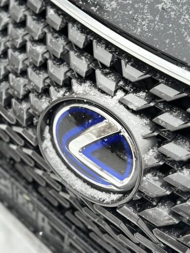 Lexus: Lexus RX: 2019 г., 3.5 л, Автомат, Гибрид, Кроссовер — 22