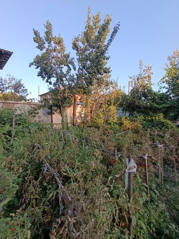 Продажа домов: Дом, 73 м², 5 комнат, Агентство недвижимости at lalafo.kg — 9 Продажа домов: Дом, 73 м², 5 комнат, Агентство недвижимости — 9