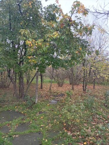 Həyət evləri və villaların satışı: 4 otaqlı, 110 kv. m, Kredit yoxdur, Təmirsiz — 9