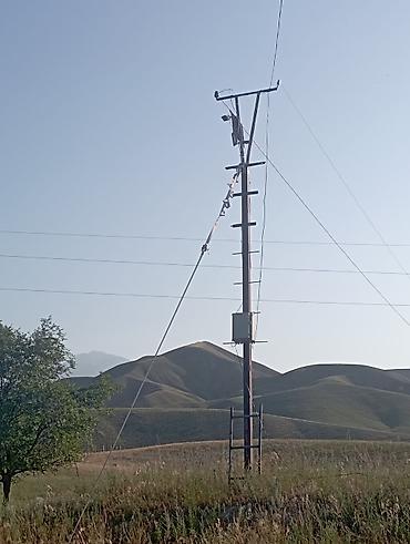 Другие товары для дома и сада: Продаю сад черешня 350шт. персик поздний 60 шт. территория 1,26га — 12