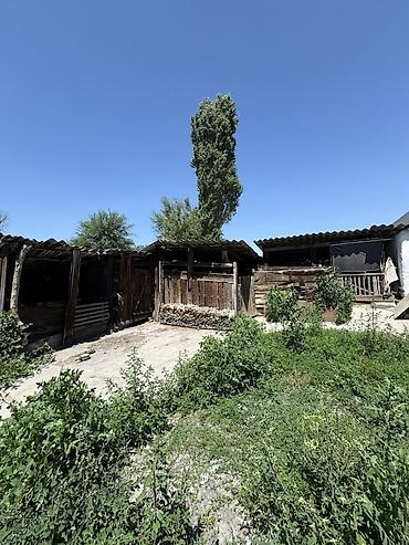 оптовый товар: 📌В Московском районе в селе Спартак срочно продается старый дом на — 4