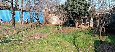 balaxanı satilan evler: 6 otaqlı, 235 kv. m, Kredit yoxdur, Yeni təmirli — 6