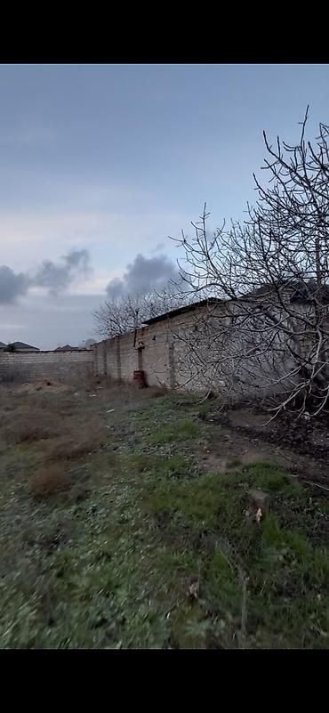 Torpaq sahələrinin satışı: 6 sot, Tikinti, Mülkiyyətçi, Bələdiyyə — 5