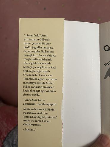 baseyn usaqlar ucun: Kitab: Qrin Qeyblz malikanəsinin qızı Anni (I kitab) Müəllif: Lusi — 2