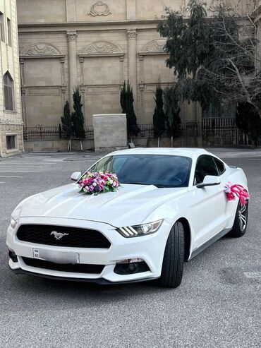 Digər avto xidmətlər: Ford mustang 2018 toy nişan və digər tədbirlər üçün sifariş edə — 6