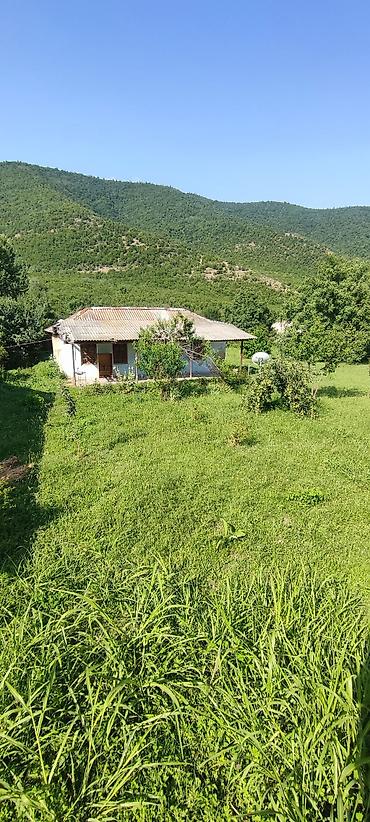 qala emlak: 30 sot, Kənd təsərrüfatı, Barter mümkündür, Kupça (Çıxarış), Bələdiyyə — 2