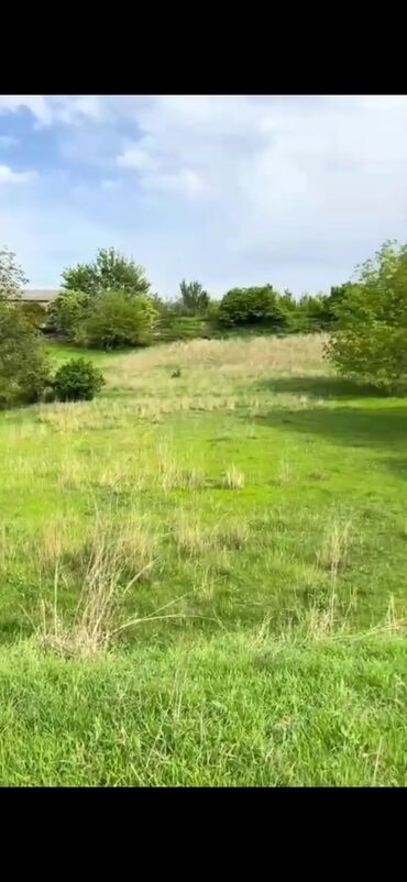 Torpaq sahələrinin satışı: 30 sot, Tikinti, Mülkiyyətçi, Texniki pasport -da lalafo.az — 10 Torpaq sahələrinin satışı: 30 sot, Tikinti, Mülkiyyətçi, Texniki pasport — 10