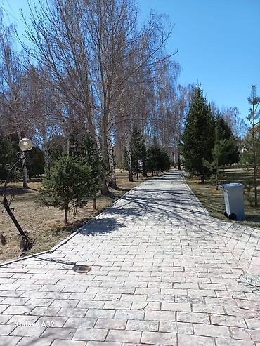 Долгосрочная аренда квартир: Студия, С мебелью полностью — 9