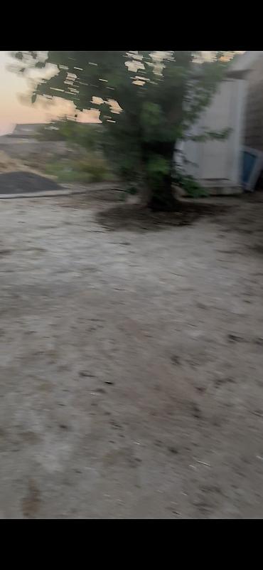 Bağ evlərinin satışı: Satılır: həyətyanı torpaq sahəsi və şəxsi həyət - Qapısı, hasarı və — 2
