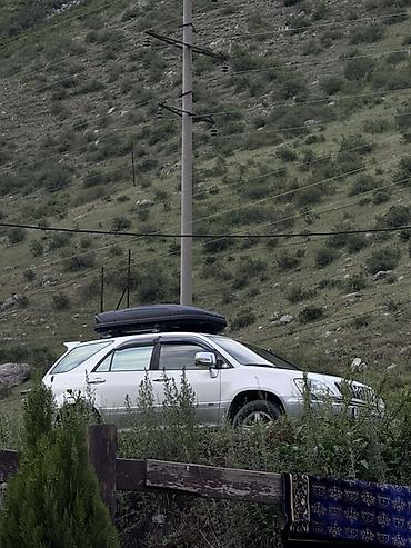 Lexus: Lexus RX: 2001 г., 3 л, Автомат, Бензин, Кроссовер — 2